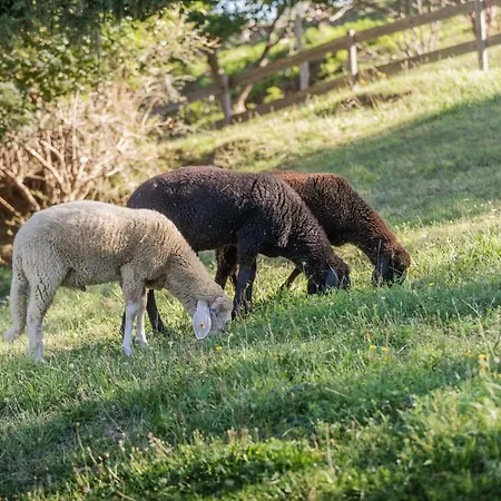 Ahrnhof * インスブルック