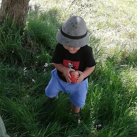 Ahrnhof * Инсбрук