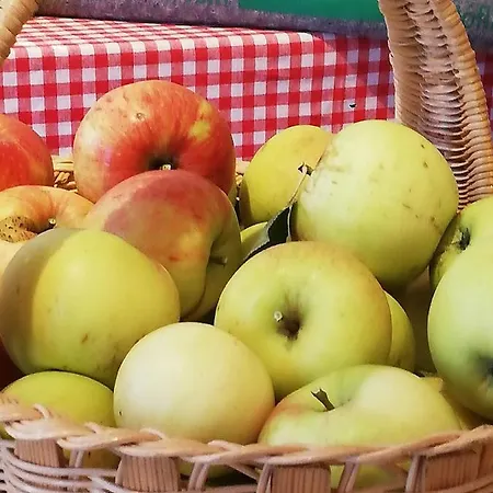 アパート Ahrnhof *