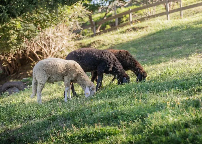 Ahrnhof * إنسبروك