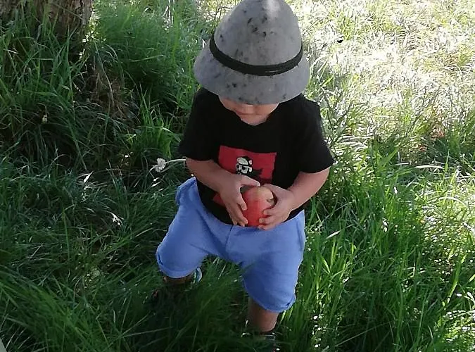 Ahrnhof * إنسبروك